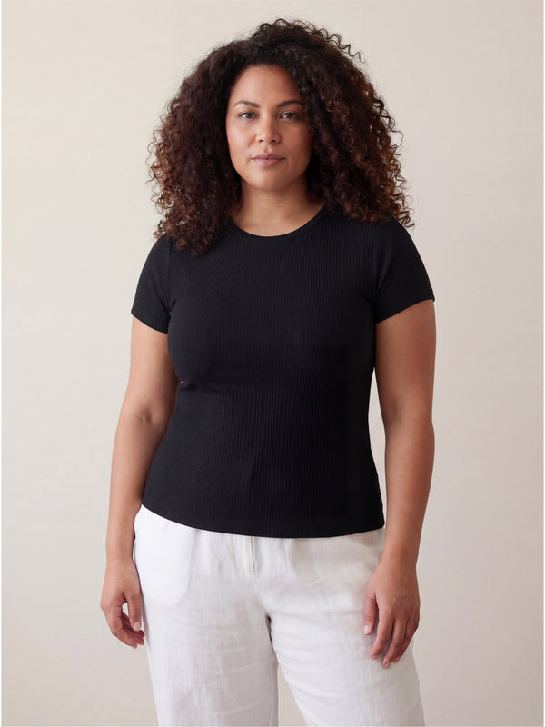 Basic Curvy Ribbed Knit Round Neck Short Sleeve Top